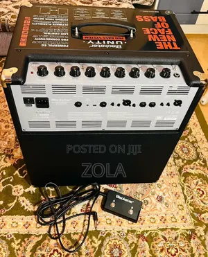 Bass Amp New Brand for Sell