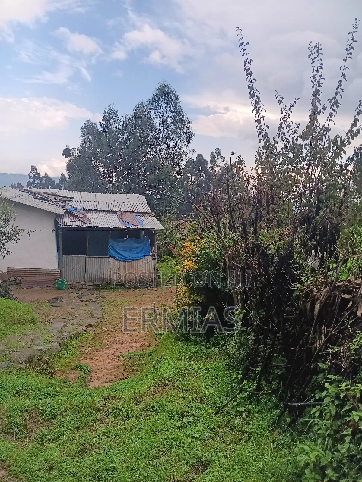 የሚሸጥ ቦታ ቁስቋም አካባቢ