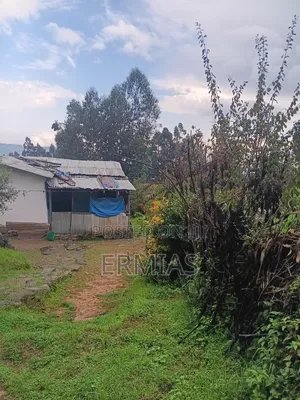 Photo - የሚሸጥ ቦታ ቁስቋም አካባቢ