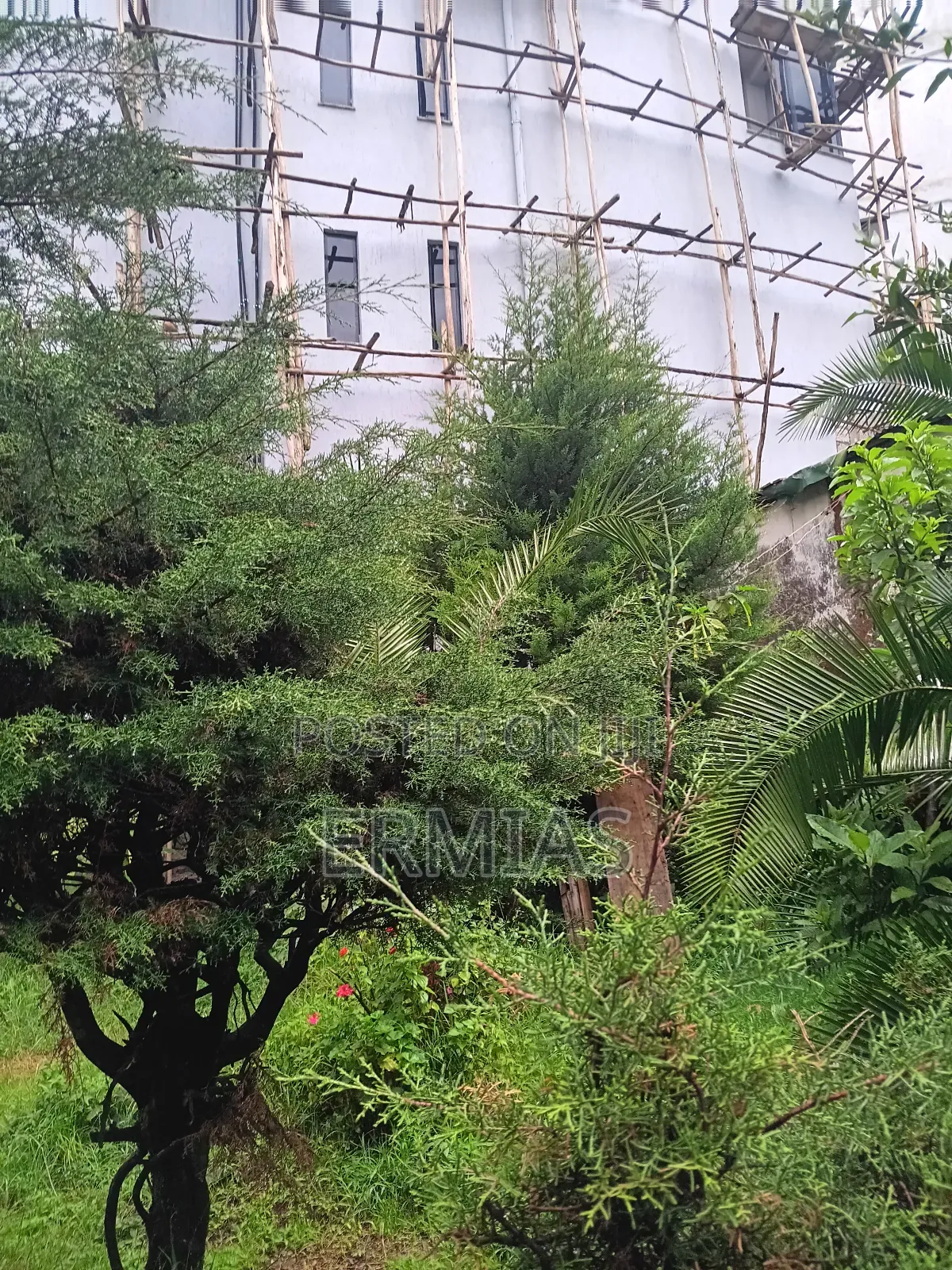 የሚሸጥ ቦታ ቁስቋም አካባቢ