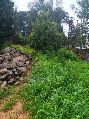 የሚሸጥ ቦታ ቁስቋም አካባቢ