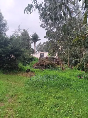 የሚሸጥ ቦታ ቁስቋም አካባቢ