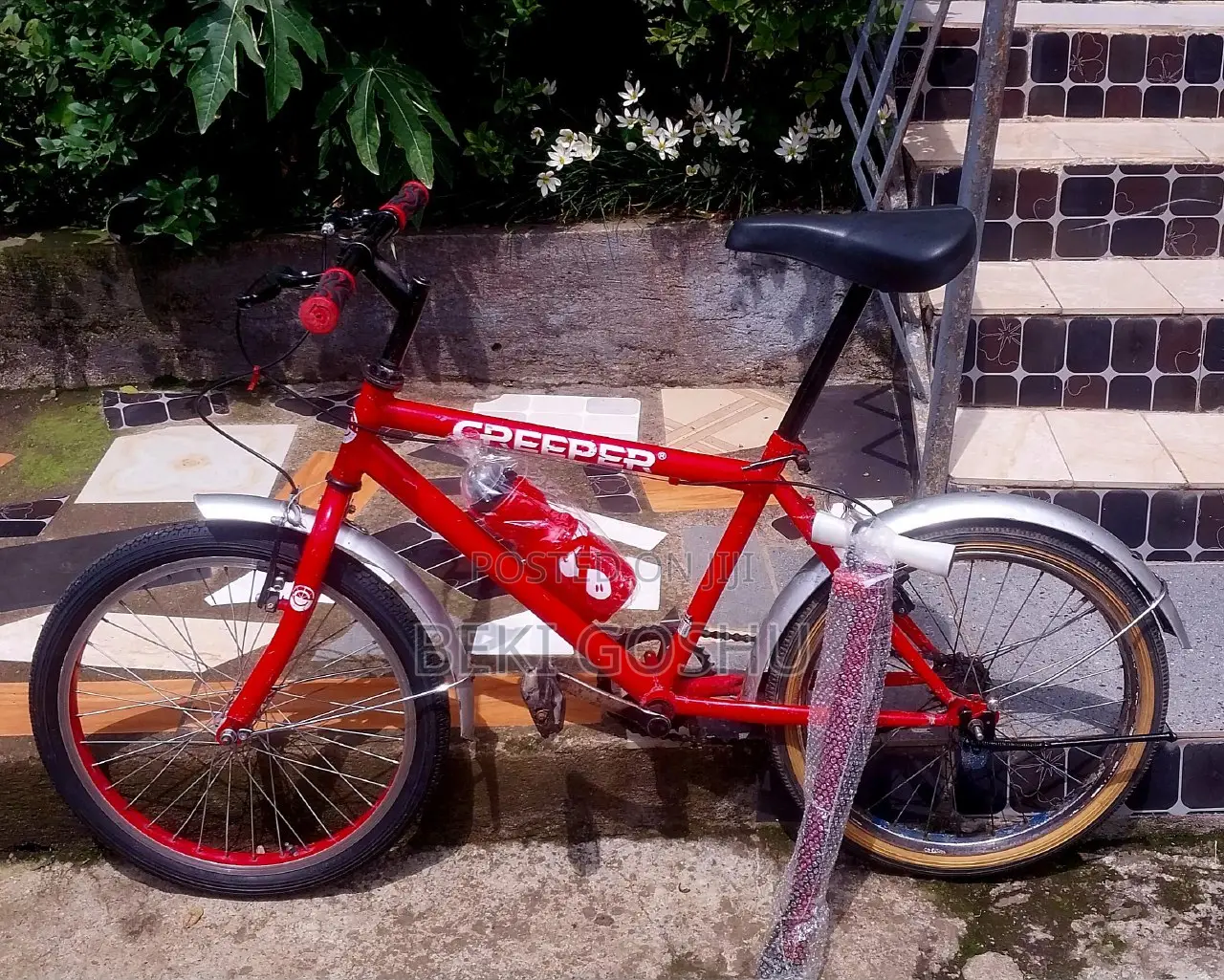 Orignial Creeper Cycle