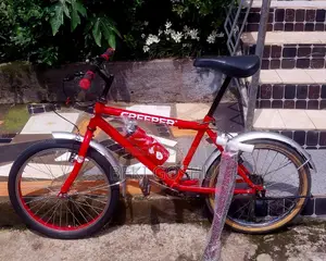 Orignial Creeper Cycle