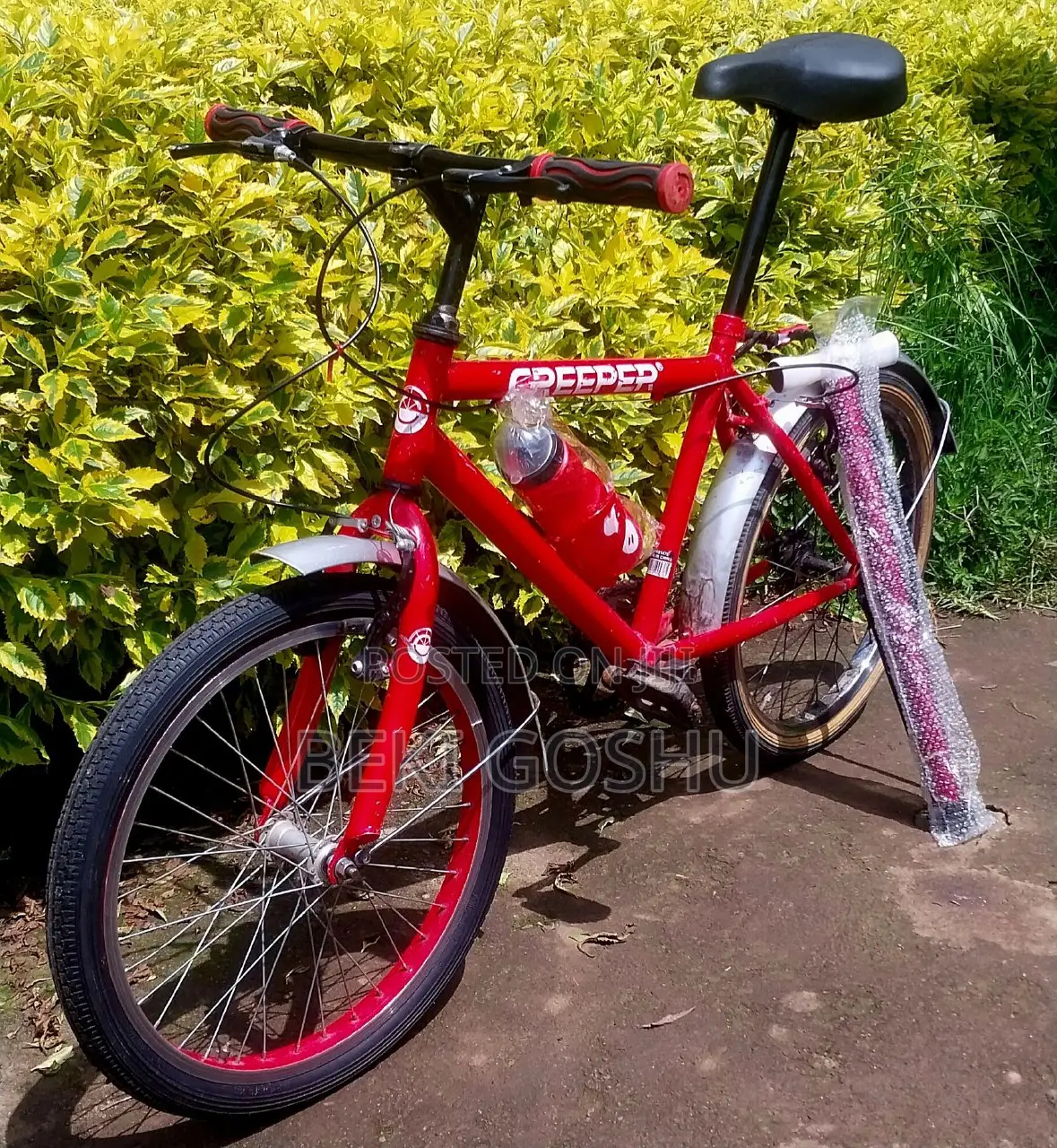 Orignial Creeper Cycle