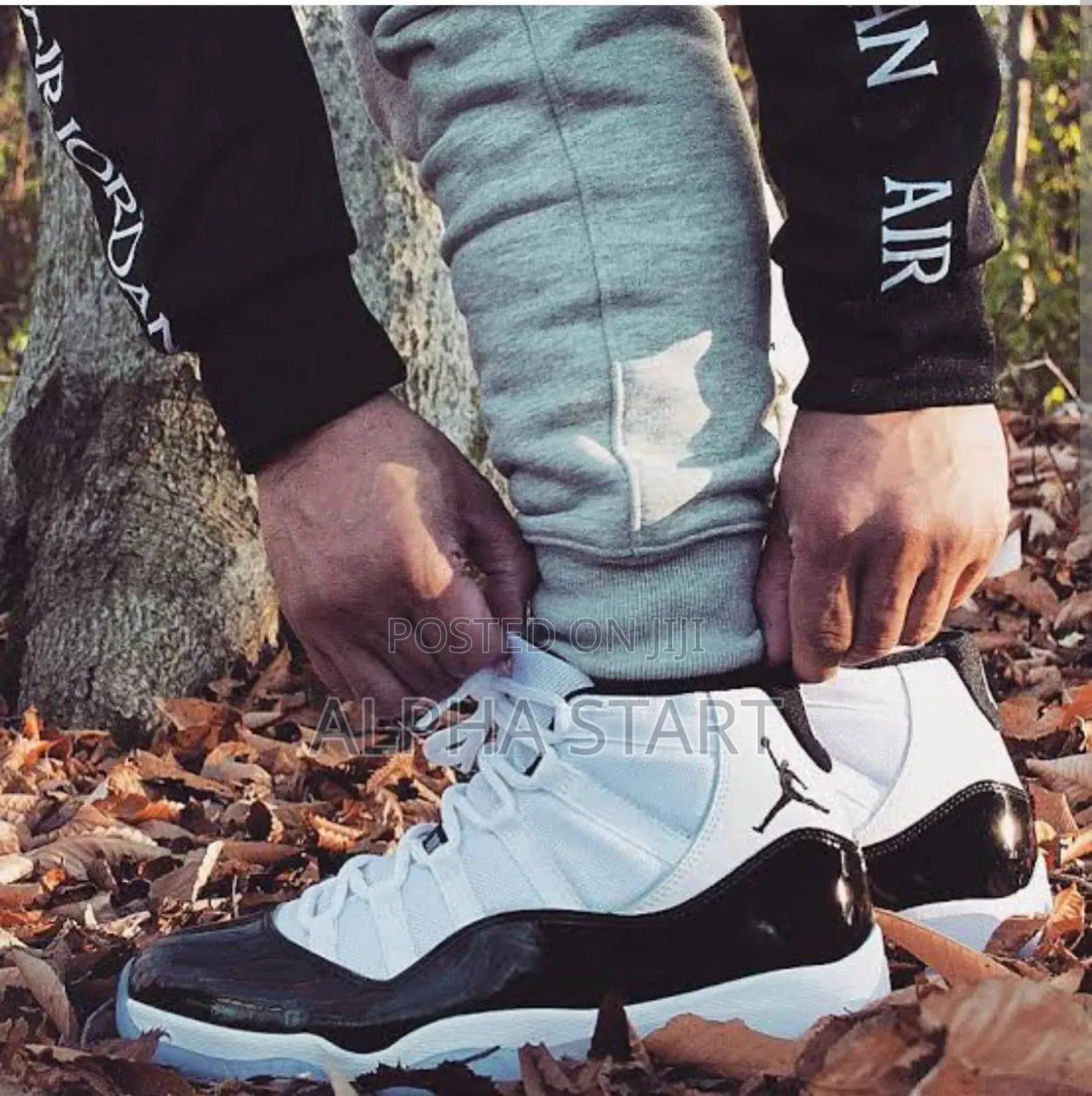 New Arrived Air Jordan 11 Retro Available On Hand Super