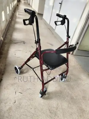 Walker起初european Standard Walker較高medical Walker不是best Walkr