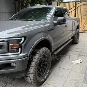 Ford F-150 2020 Gray
