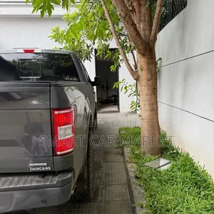 Ford F-150 2020 Gray