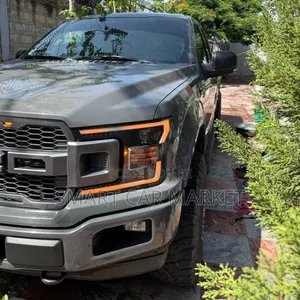 Ford F-150 2020 Gray