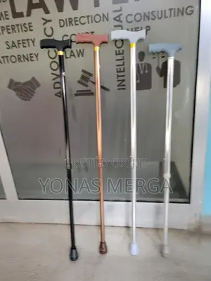 Walking Stick/Daily Support to Assistance on Uneven Terrain.