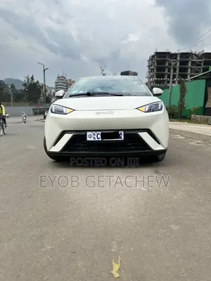 Photo - BYD Seagull 2024 White