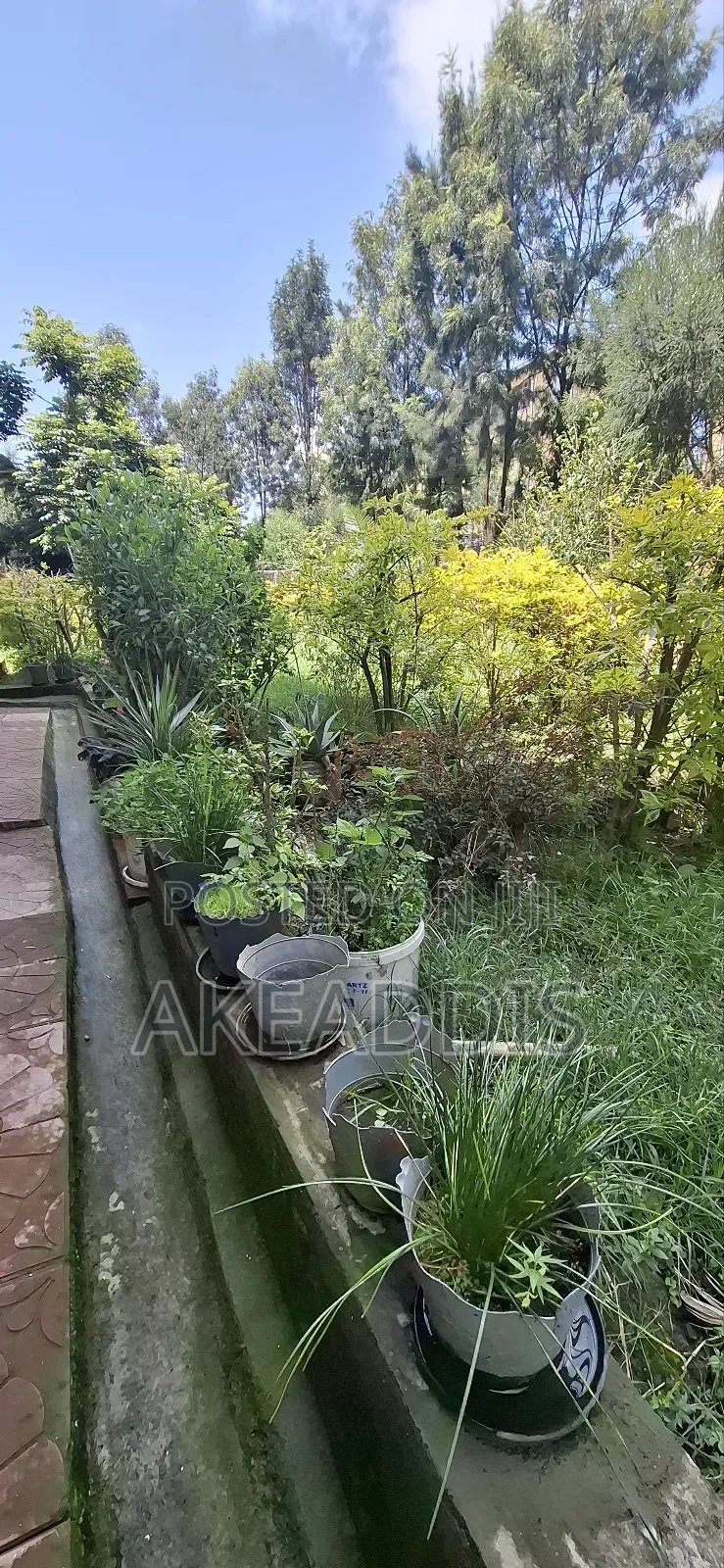 Furnished 3bdrm Condo in ቦሌ አያት, Bole for sale