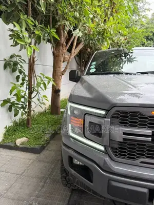 Ford F-150 2020 Gray