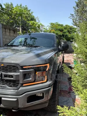 Ford F-150 2020 Gray
