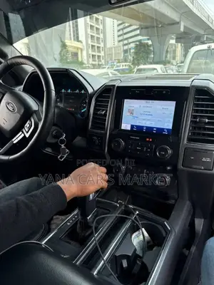 Ford F-150 2020 Gray