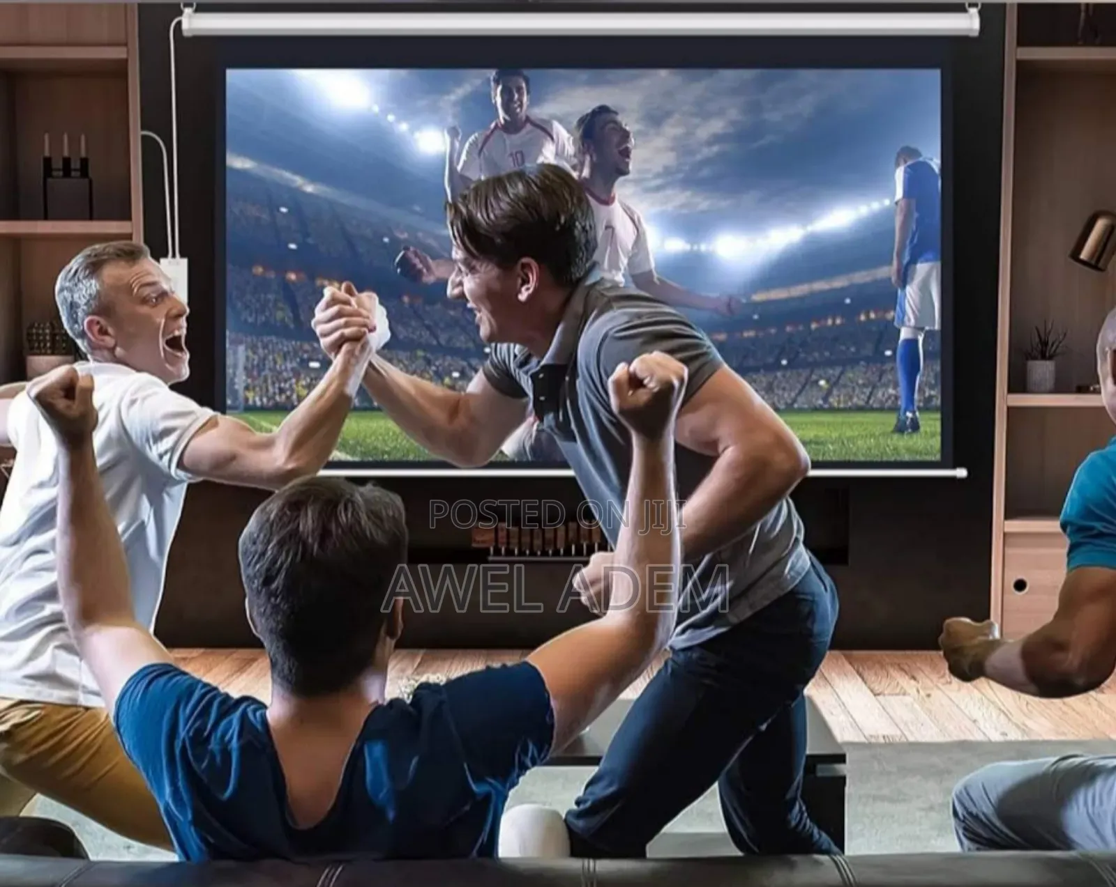 Motorized Projector Screen