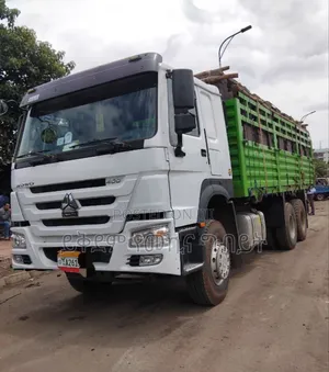 Sino Cargo Truck Used
