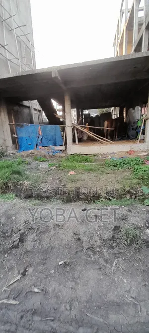 4bdrm House in Akaky Kaliti for sale