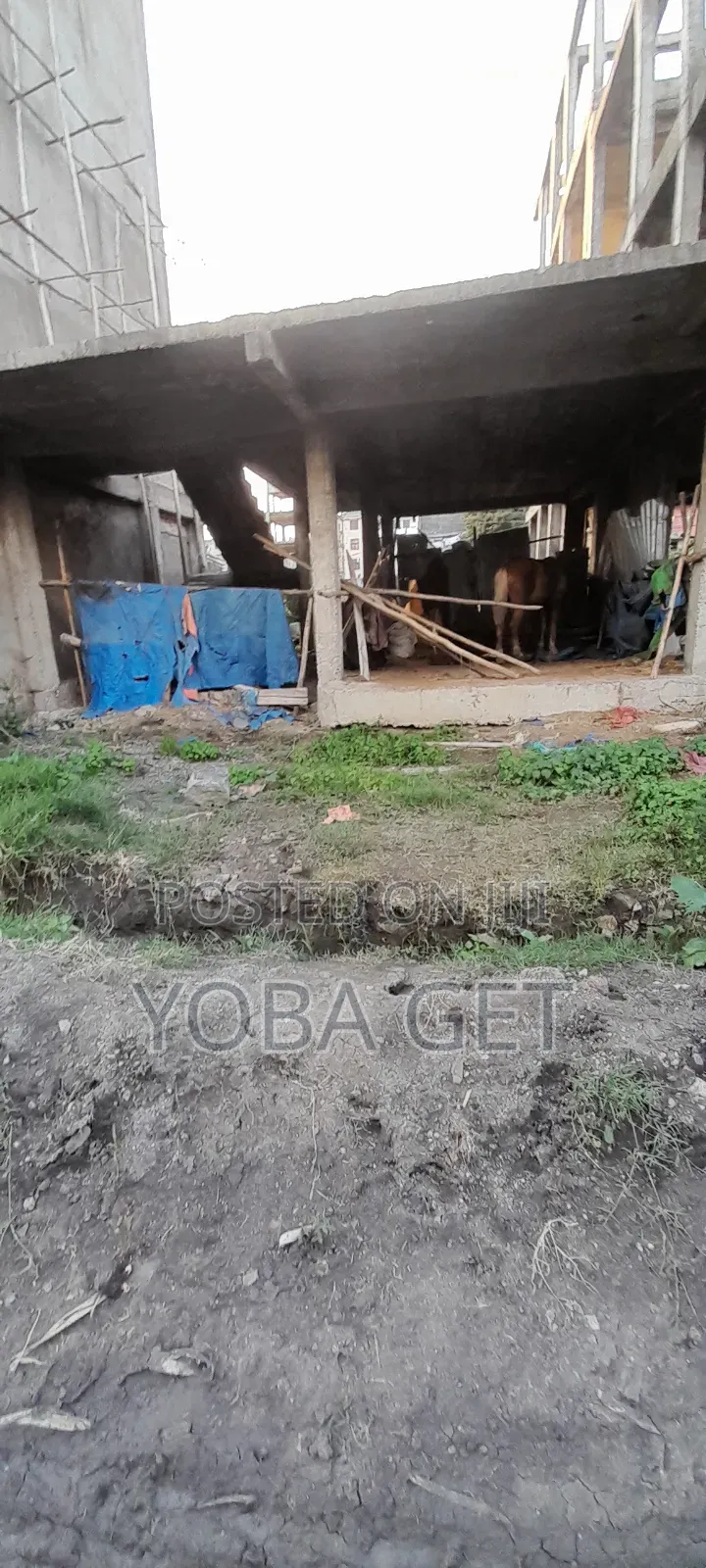 4bdrm House in Akaky Kaliti for sale