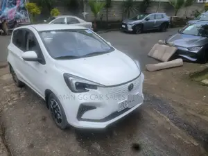 Photo - BYD E1 2022 White