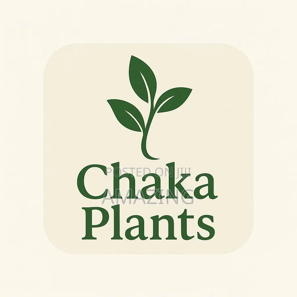 Chaka Plants