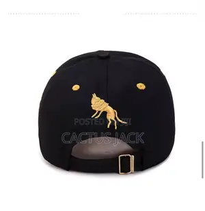 2025 New Totem Flame Baseball Cap