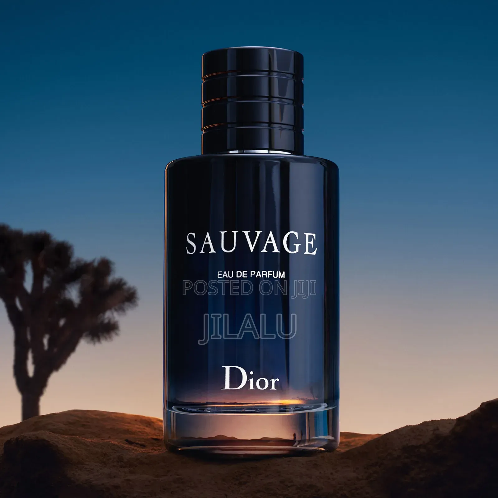 Sauvage Dior
