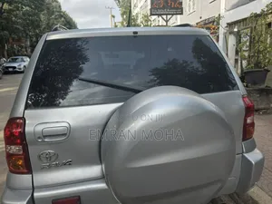 Toyota RAV4 2004 Silver