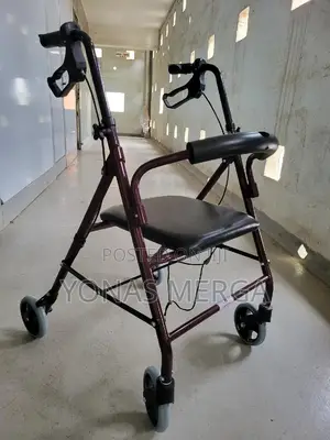 Photo - Waterproof Seat+Walker||, It Can Support Users Up to 150kg
