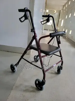 Walker/Indoor Walker,Activation Brake, Grey – Made in Europe