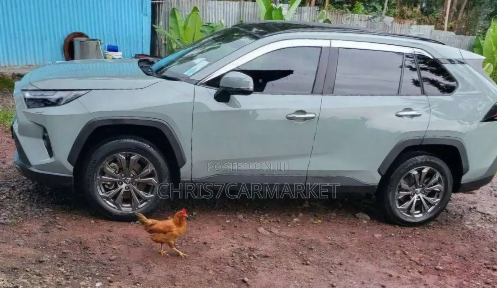 Toyota RAV4 TRD Off Road 2022 Gray