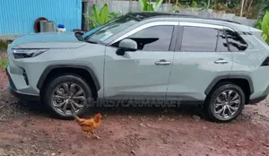 Toyota RAV4 TRD Off Road 2022 Gray