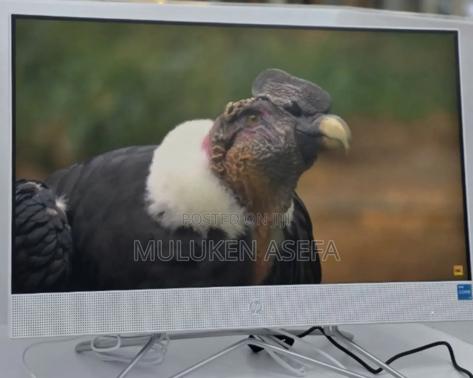 New Desktop Computer HP 290 G9 All-in-One 8GB Intel Core I3 SSD 256GB