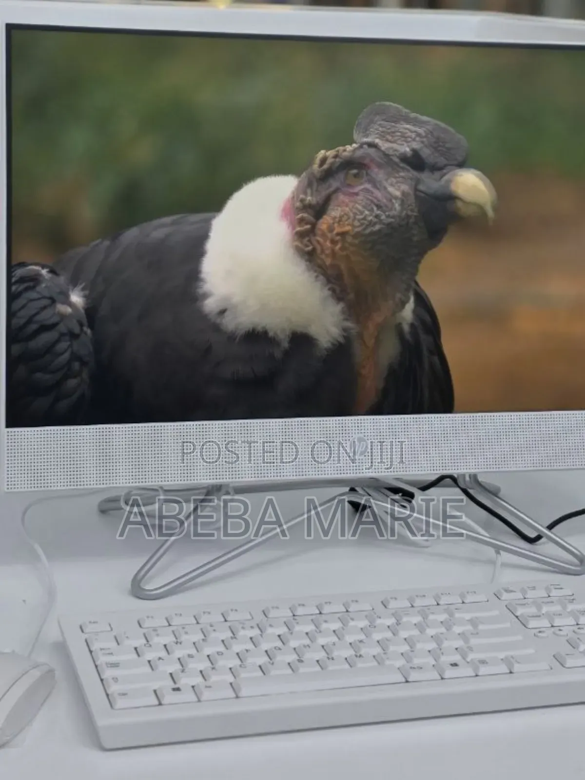 New Desktop Computer HP 290 G9 All-in-One 8GB Intel Core I3 SSD 256GB