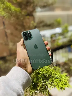 Apple iPhone 13 Pro Max 128 GB Green