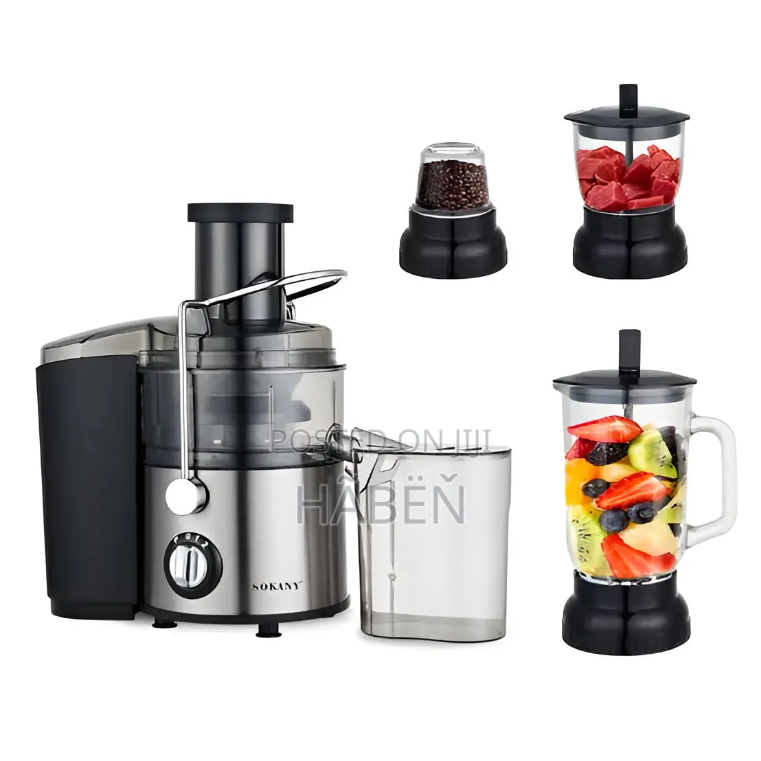 Sokany 4 in One Juicer Food Processor