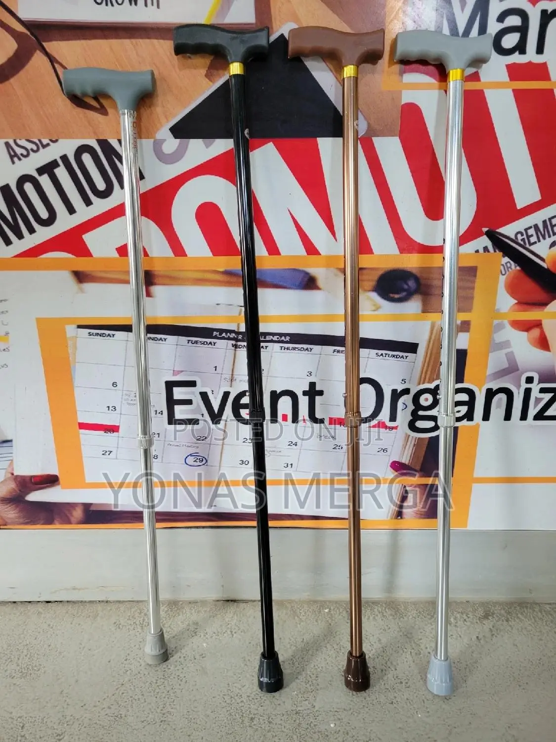 Cane//Fashion-Oriented Accessory, While "Walking Cane"