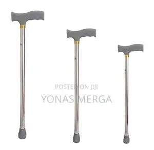 Photo - Walking Stick_original Models to Make Everyday Life Easier.