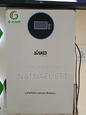 Lifepo4 Lithium Battery Back-Up Power