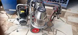 Photo - Double Milking Machine