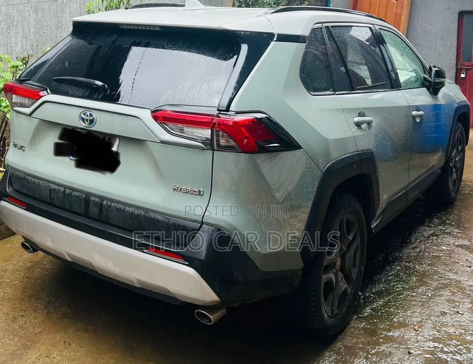 Toyota RAV4 2023 Green