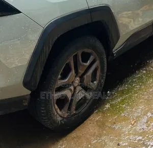 Toyota RAV4 2023 Green