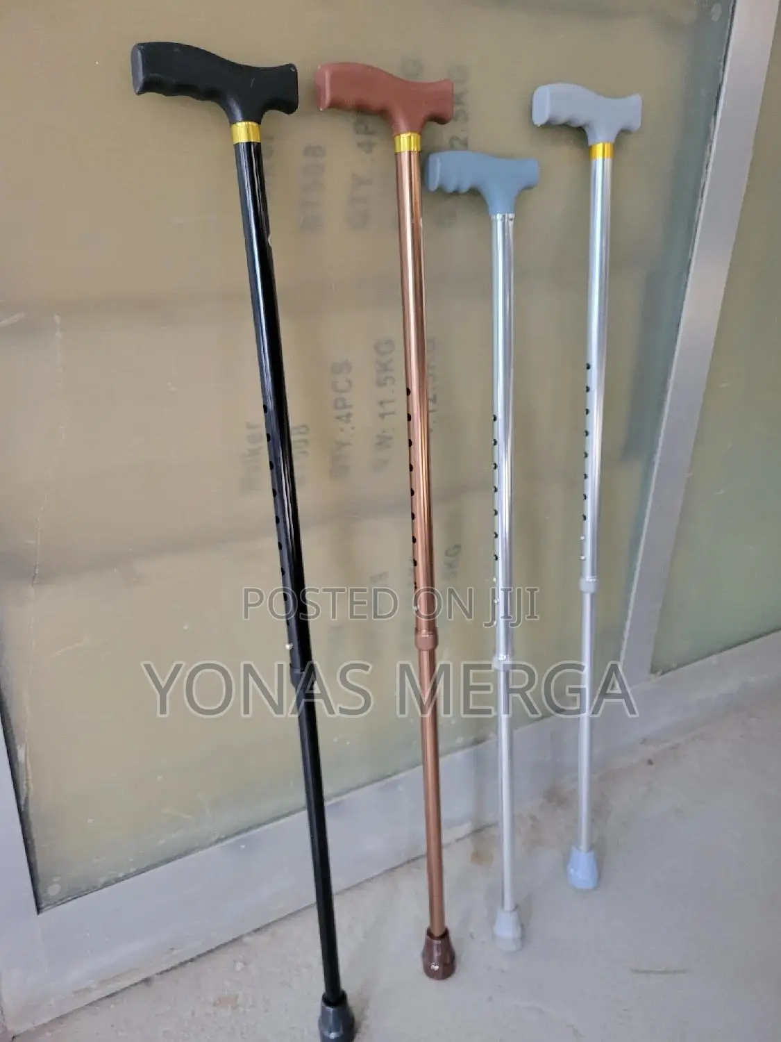 Model of Walking Sticks Walking Sticks: Fs920l||In Arada