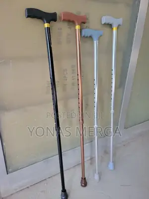 Photo - Model of Walking Sticks Walking Sticks: Fs920l||In Arada