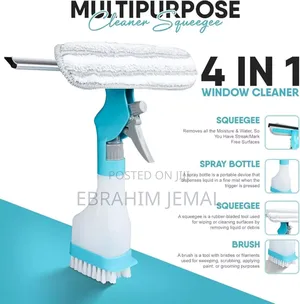 4in 1 Spray Window Cleaner