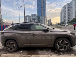 Hyundai Tucson 2021 Brown