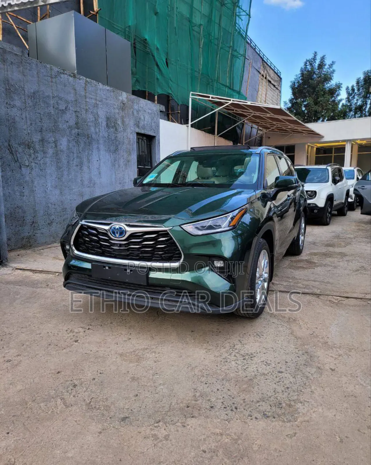 Toyota Highlander Hybrid 2023 Green