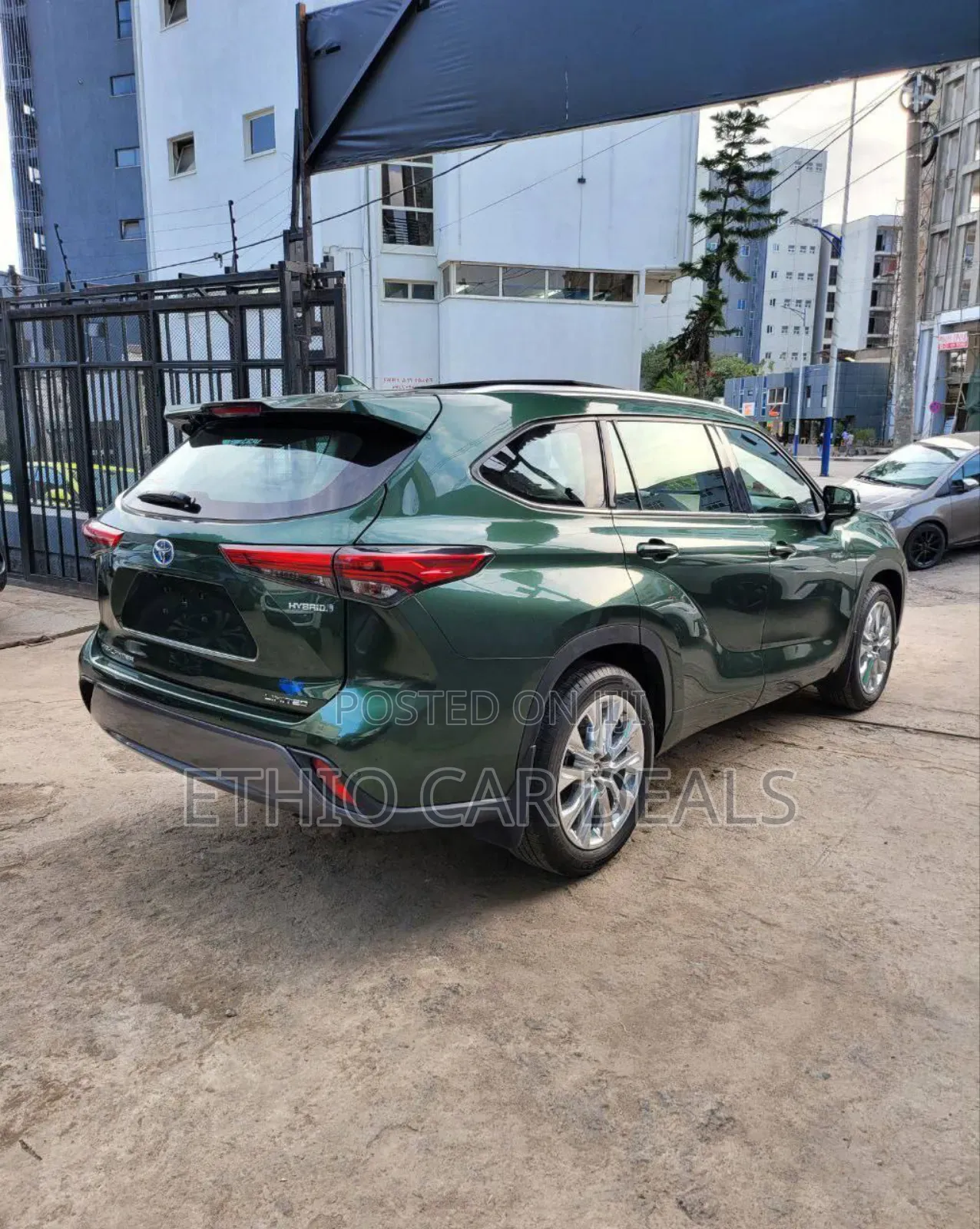 Toyota Highlander Hybrid 2023 Green
