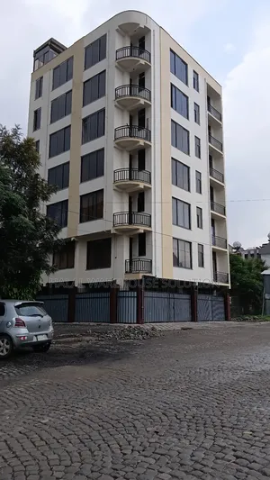 Photo - Furnished 20bdrm Apartment in Addis Abeba, Nifas Silk-Lafto for sale